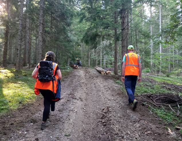 Adoptez les bons gestes en forêt